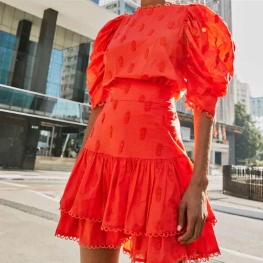 Farm Rio 3D Red Pineapple Skirt New With Tags Size Large